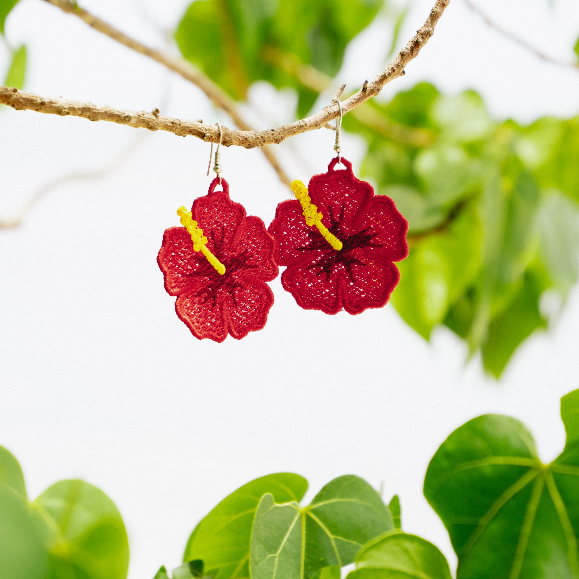 Pantalla Amapola